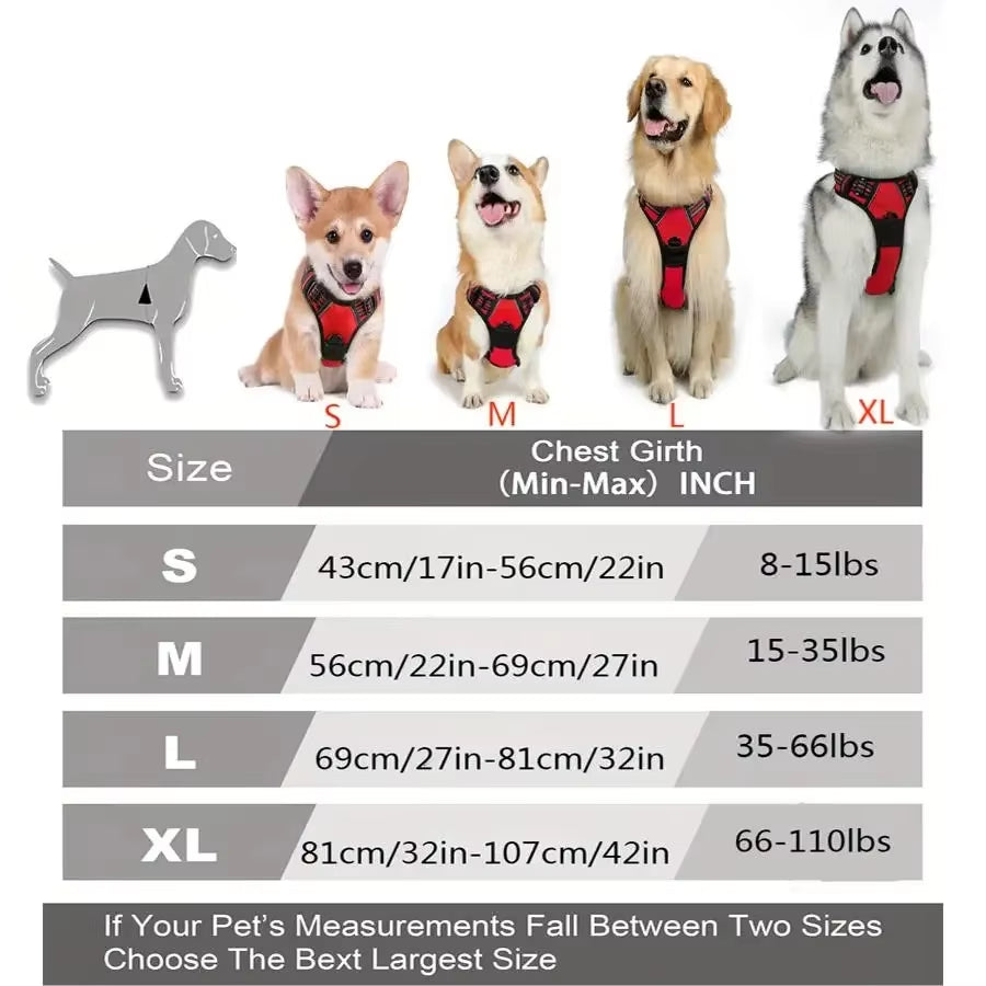 Dog Collars Harness 