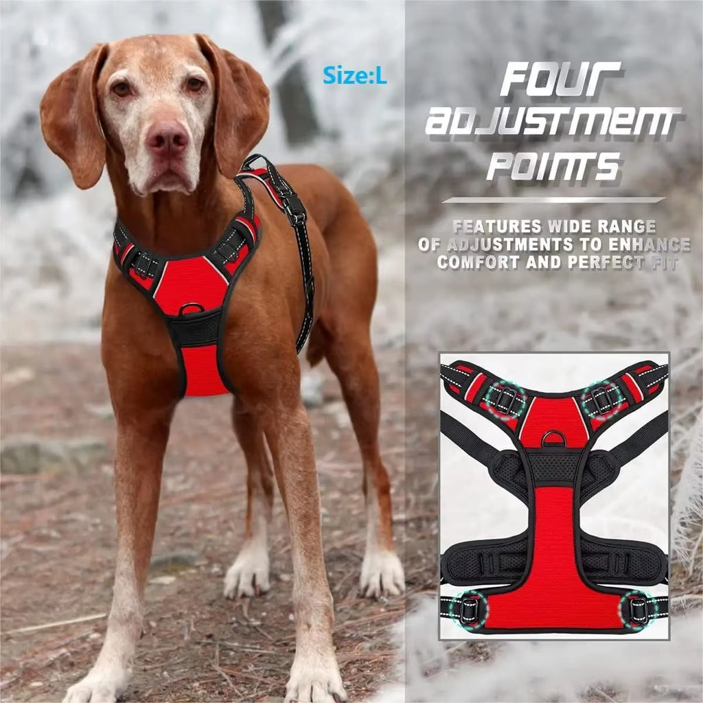 Dog Collars Harness 