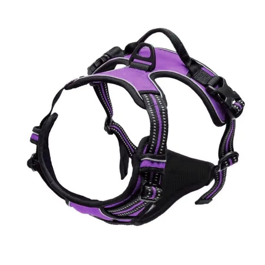 Dog Collars Harness 
