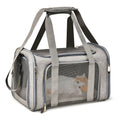  Pet Carrier for Travel