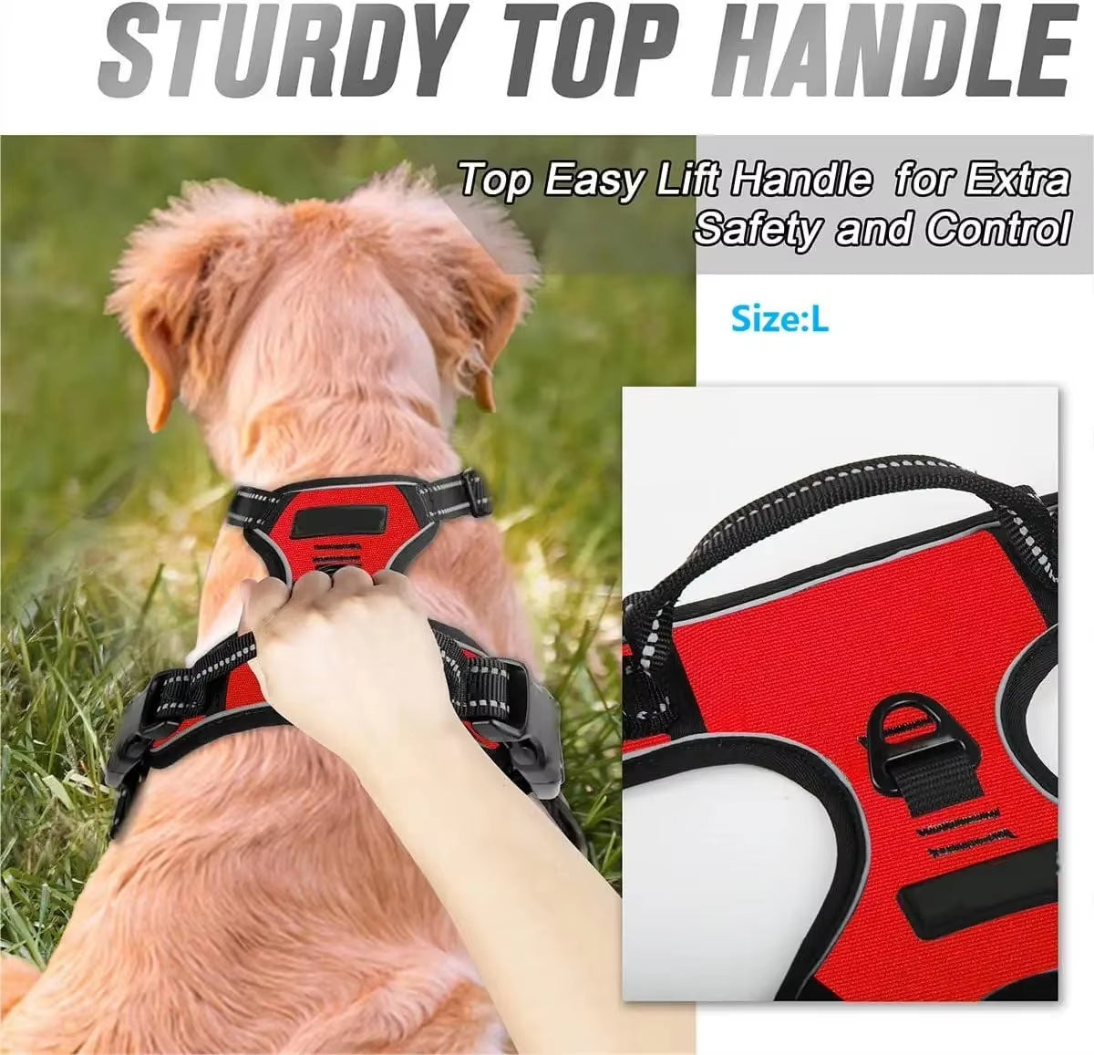 Dog Collars Harness 