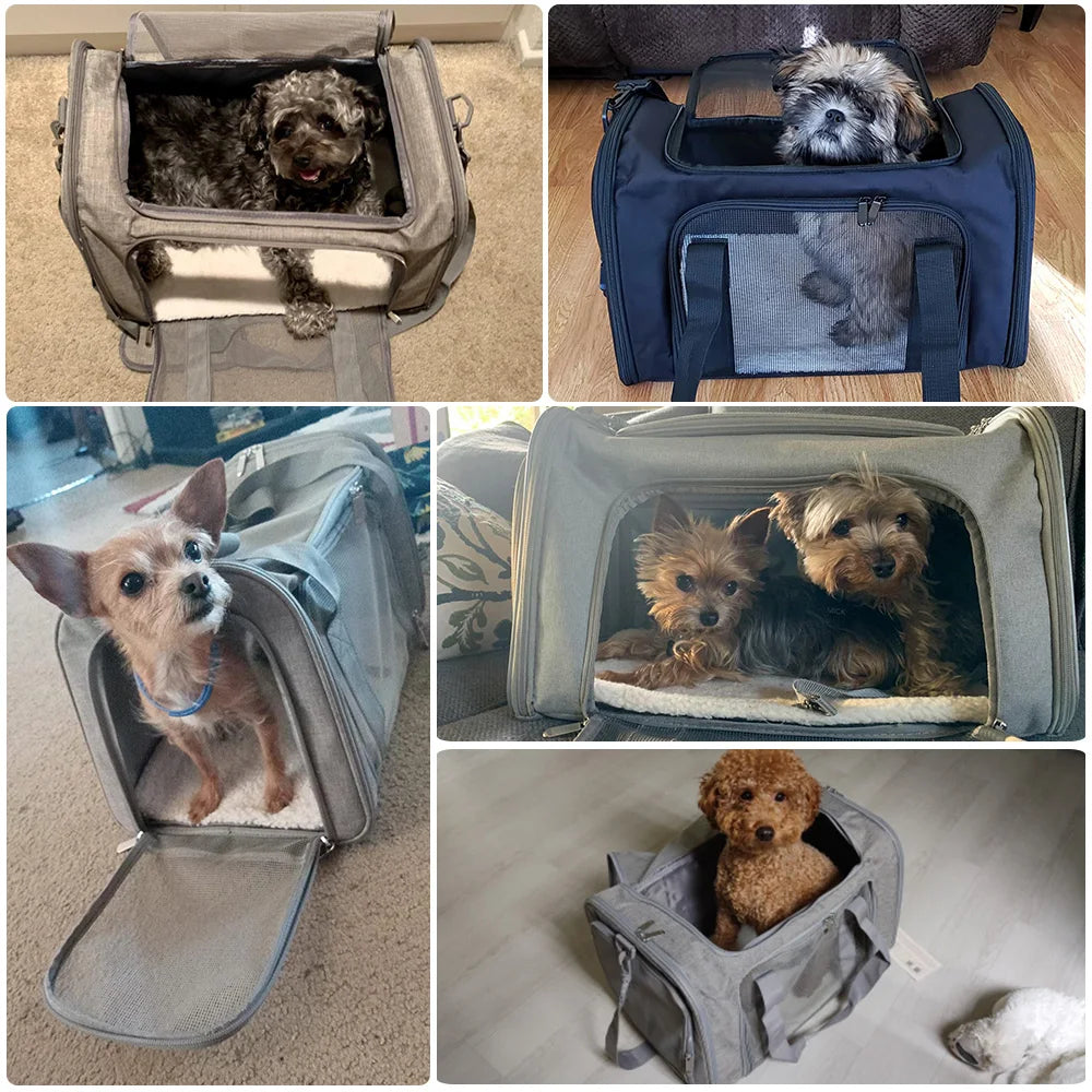  Pet Carrier for Travel