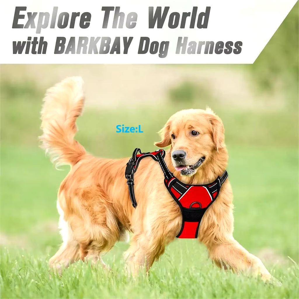 Dog Collars Harness 
