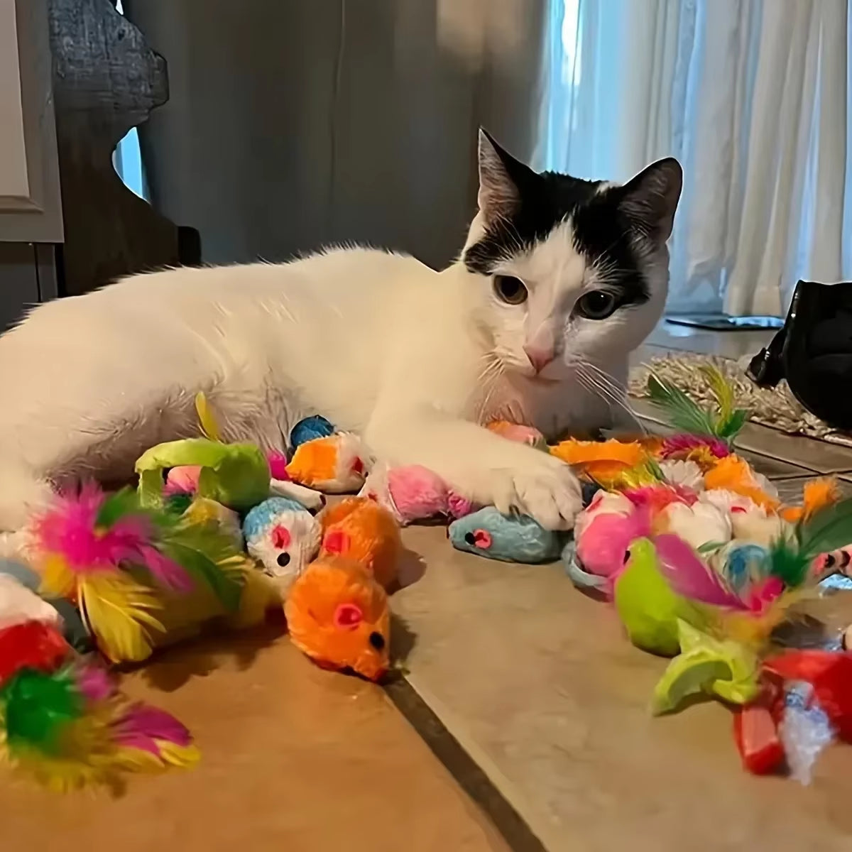 56Pcs/28Pcs/14Pcs Cat Toys Mixed Pack. a Combination of Various Plastic Toys and Plush Toys Suitable for Multiple Cats to Play